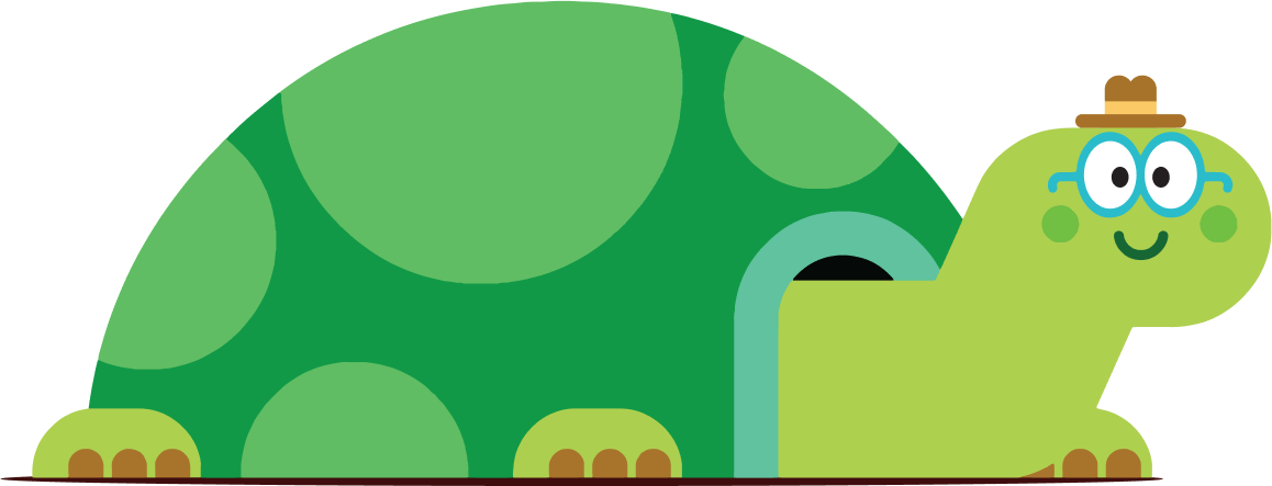 Tortoise Family